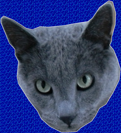 catico