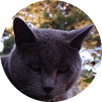MaxHeadShot