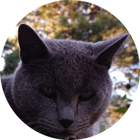MaxHeadShot