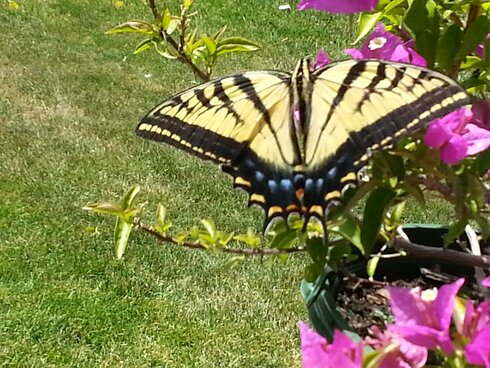 20160715_120734